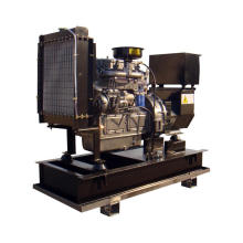 Générateur diesel robuste de 50Hz et 60Hz personnalisés